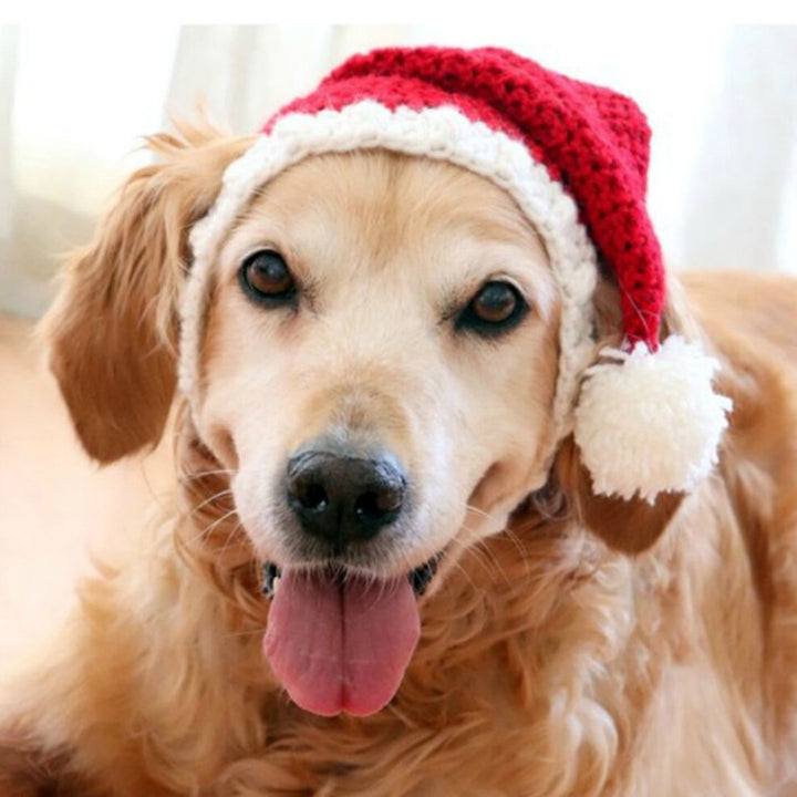 Two-piece Pet Hand-knitted Hat And Scarf