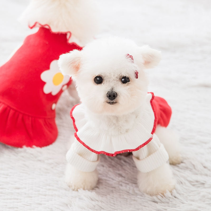 Skirt pet clothes