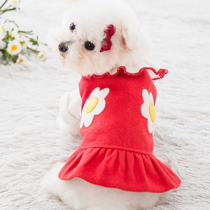 Skirt pet clothes