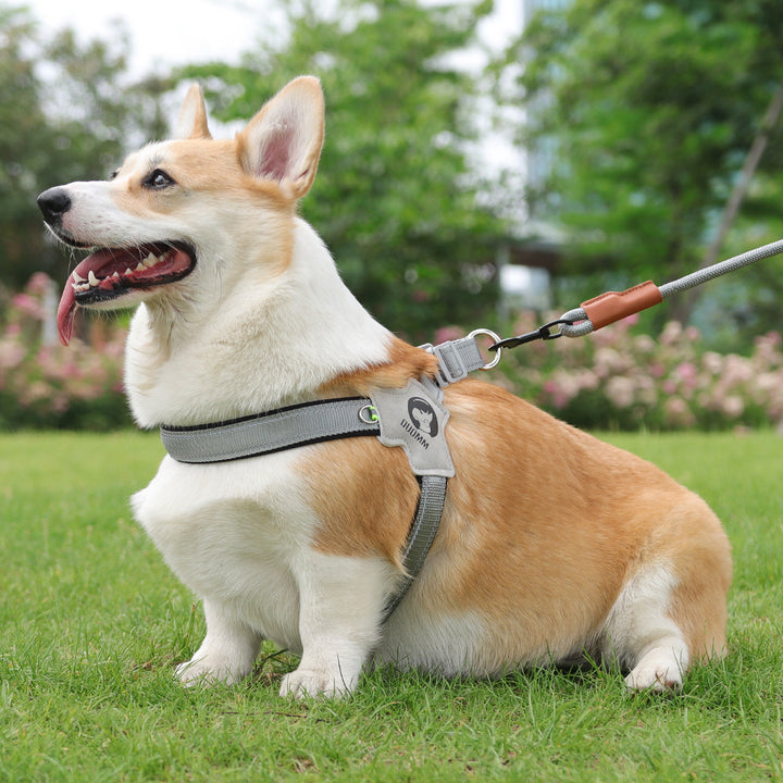 New Dog Breast Strap Saddle Pet Harness Breathable Reflective Dog Suspenders Pet Hand Holding Rope Wholesale
