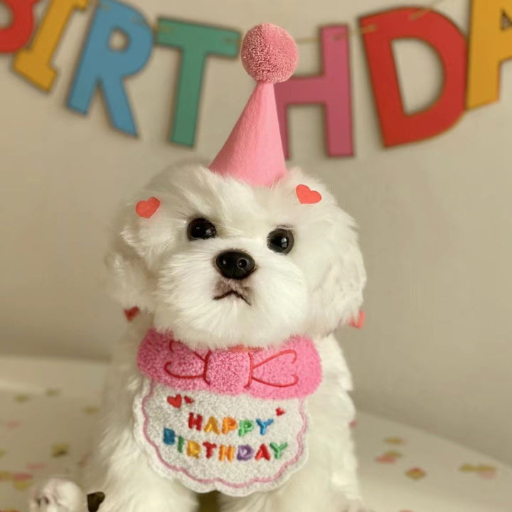 Happy Birthday Party Bib