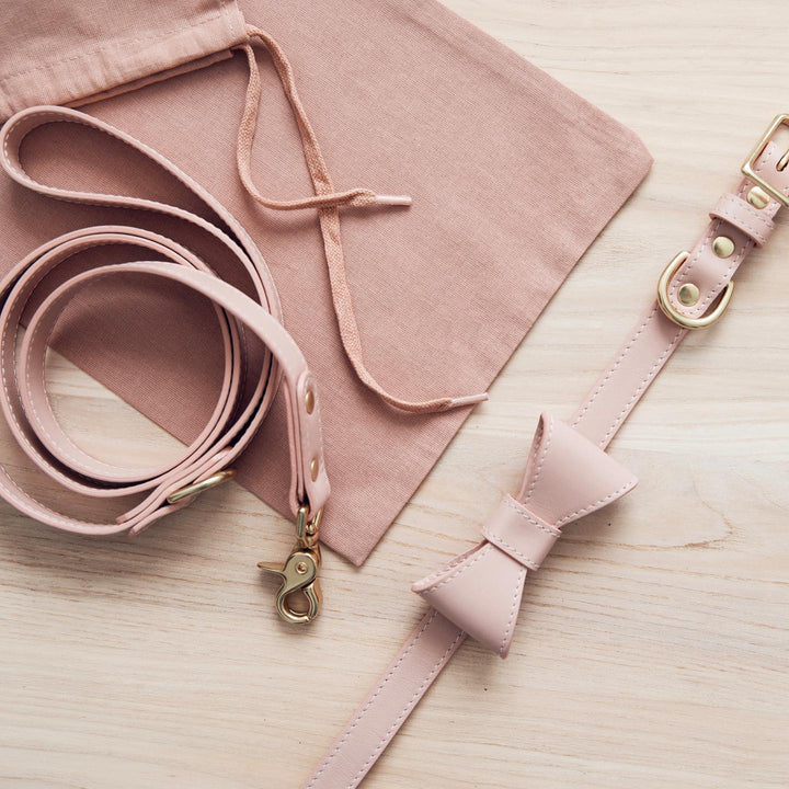 Aww So Cute Dog Bow Collar & Leash Set
