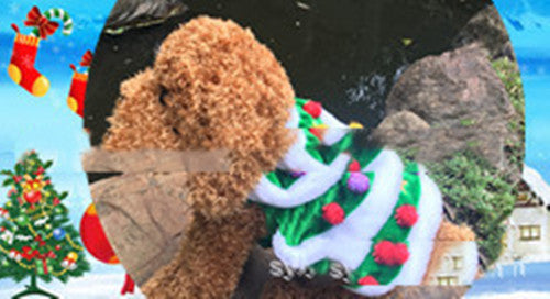 Green Christmas Tree Shaped Dog Clothes