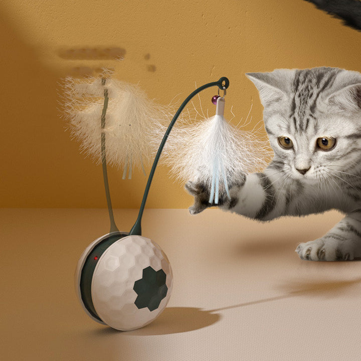 Bite Resistant Cat Intelligent Toys