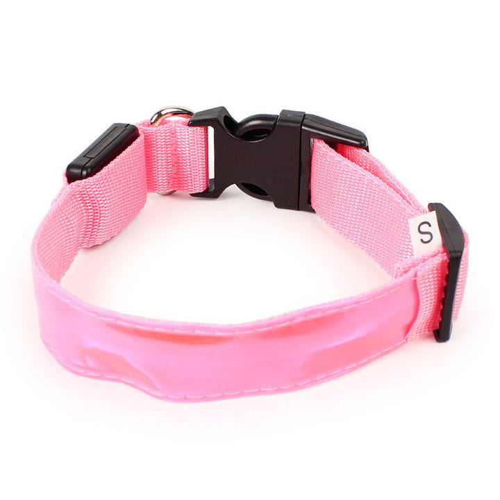 Light Up Dog Collars