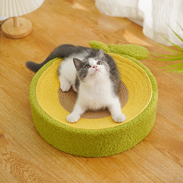 Avocado Cat Scratching Toy