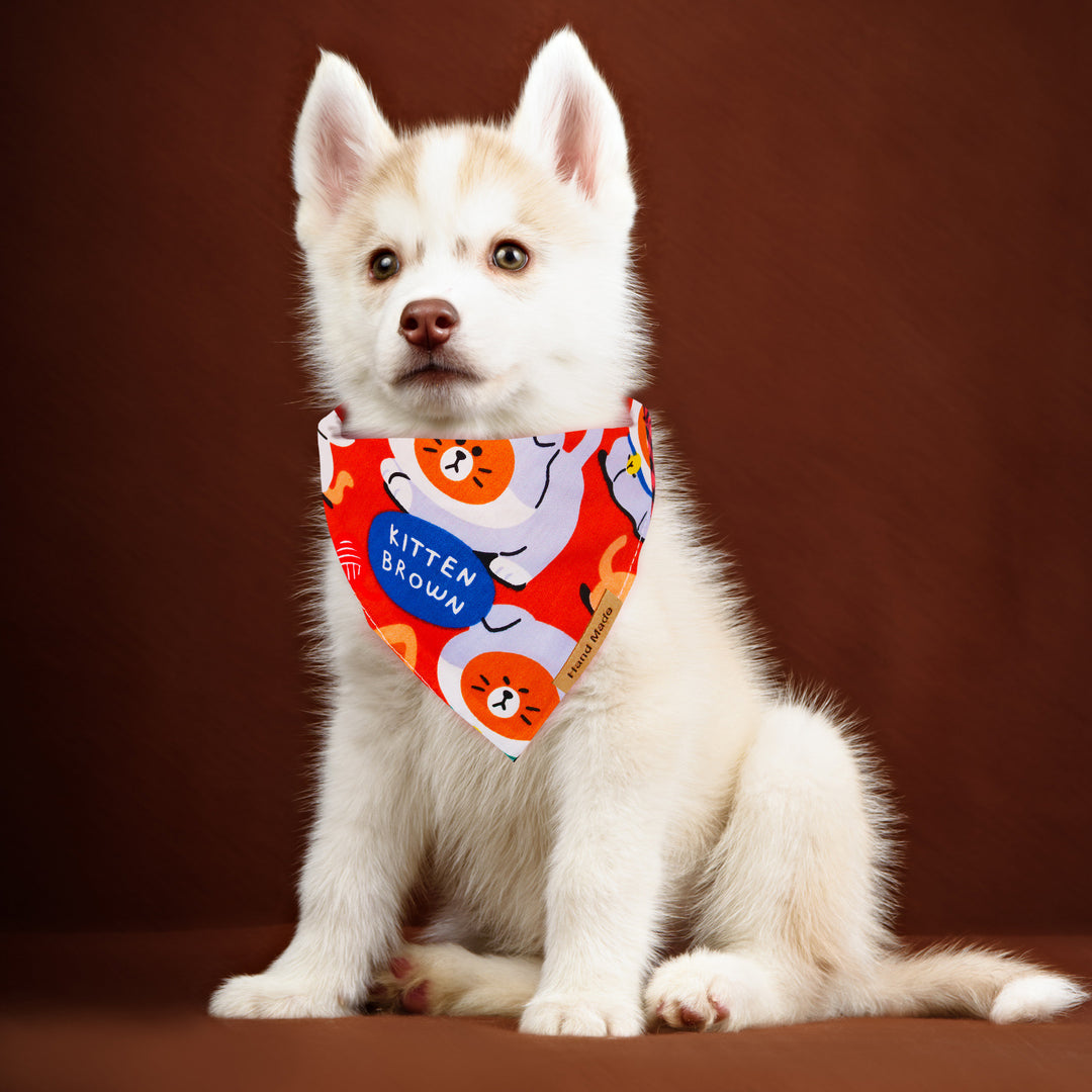 Cute Cartoon Pet Bandana