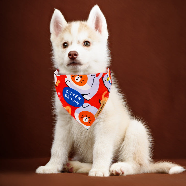 Cute Cartoon Pet Bandana