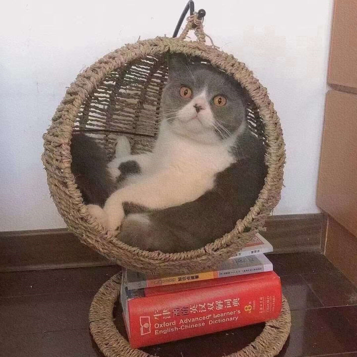 Pet Cat Litter Round Semi-enclosed Opening Cat Hanging Basket