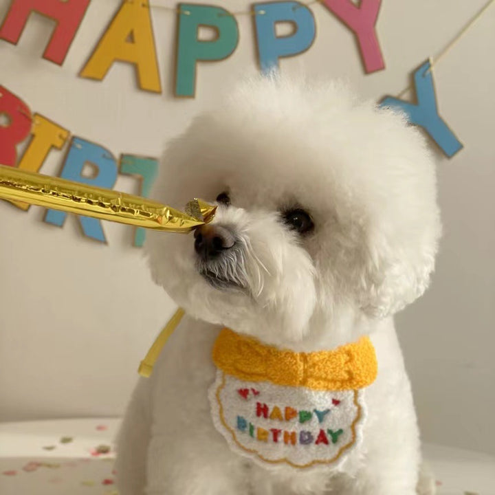 Happy Birthday Party Bib