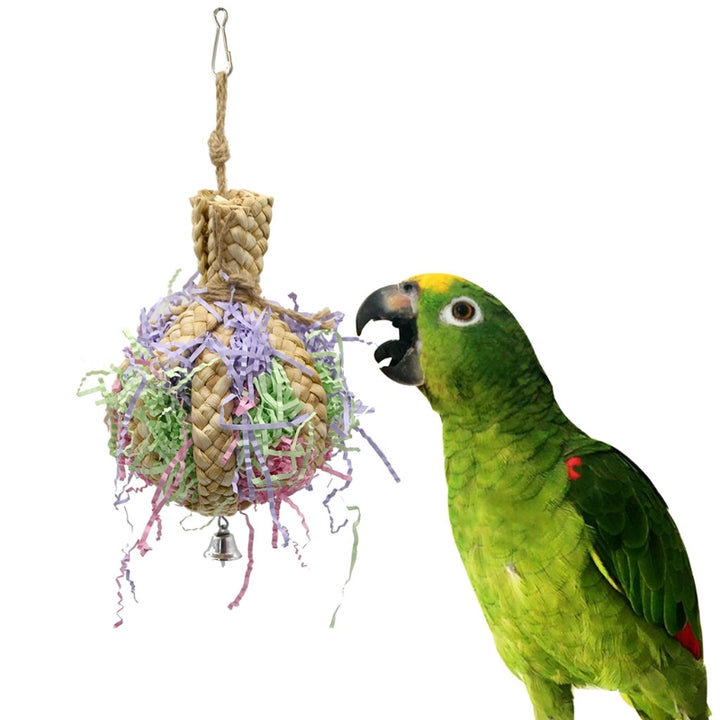 Drawing Straw Rope Toy Parrot Paper