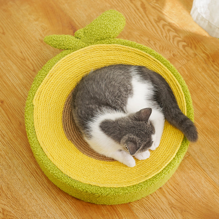 Avocado Cat Scratching Toy