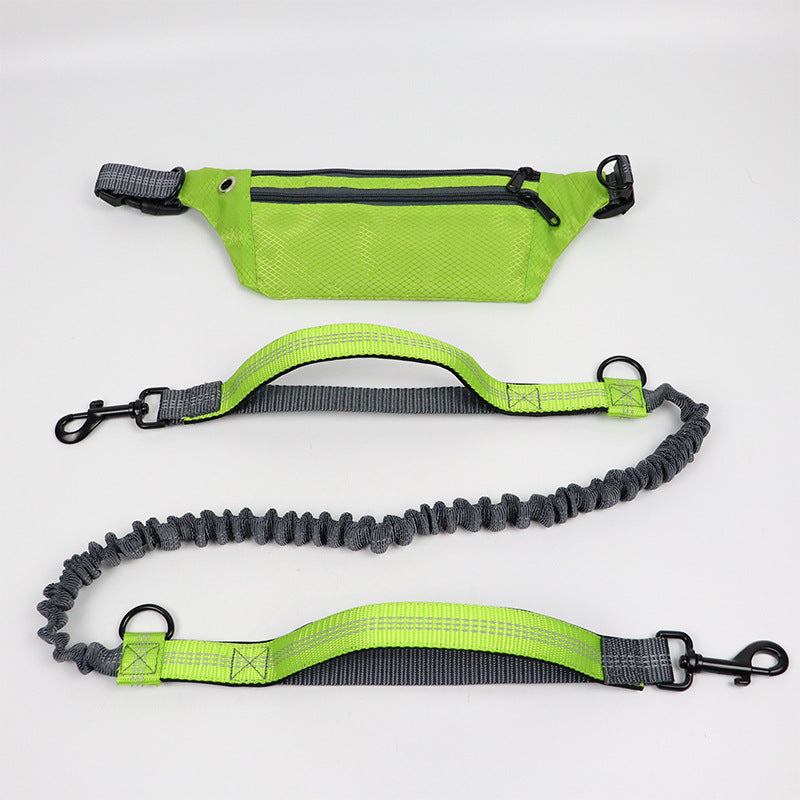 Dog collar without hands