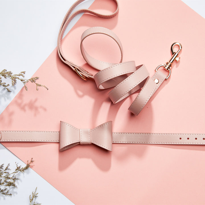 Aww So Cute Dog Bow Collar & Leash Set
