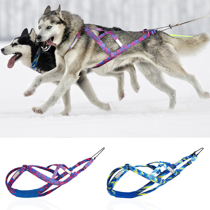 Dog Sled Chest Strap Hand Holding Rope